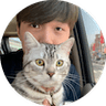 작성자 아바타