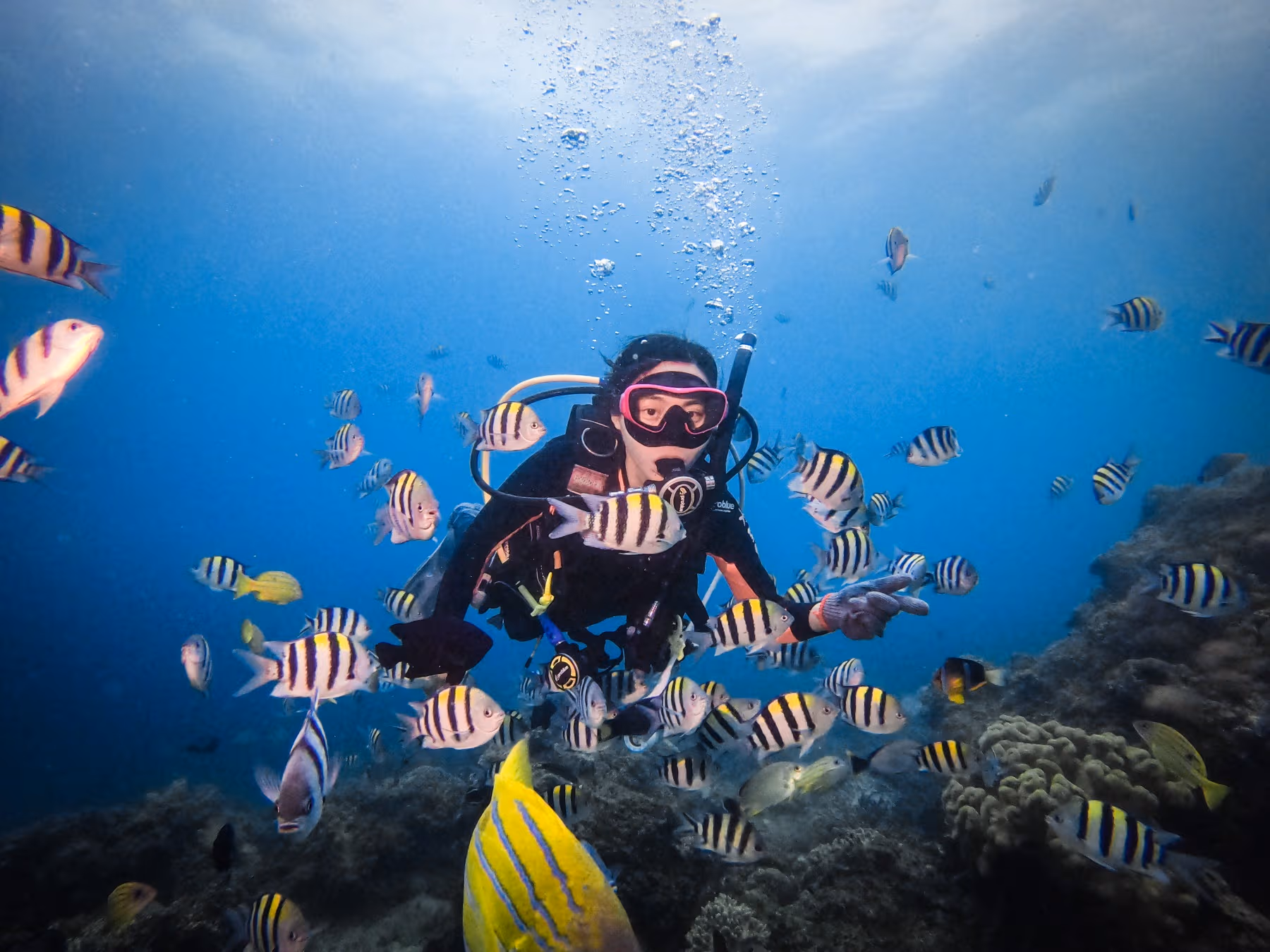 水到魚行浮潛館