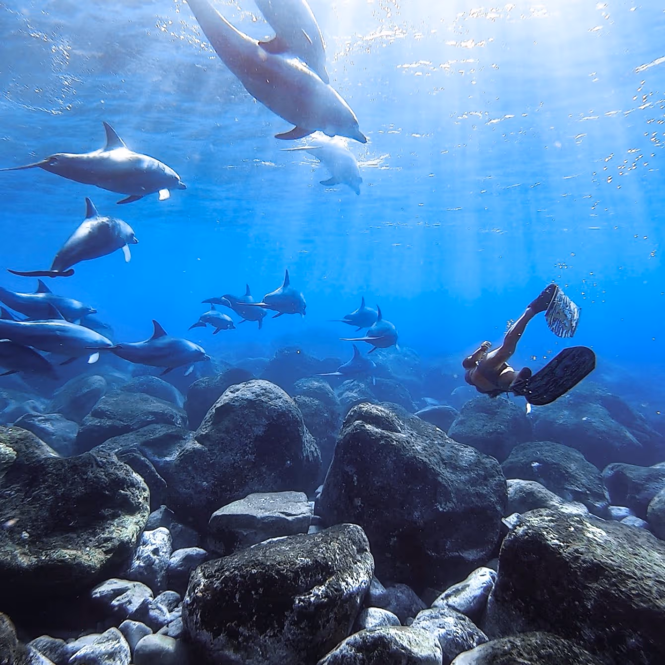 Founding a Freediving Travel Agency