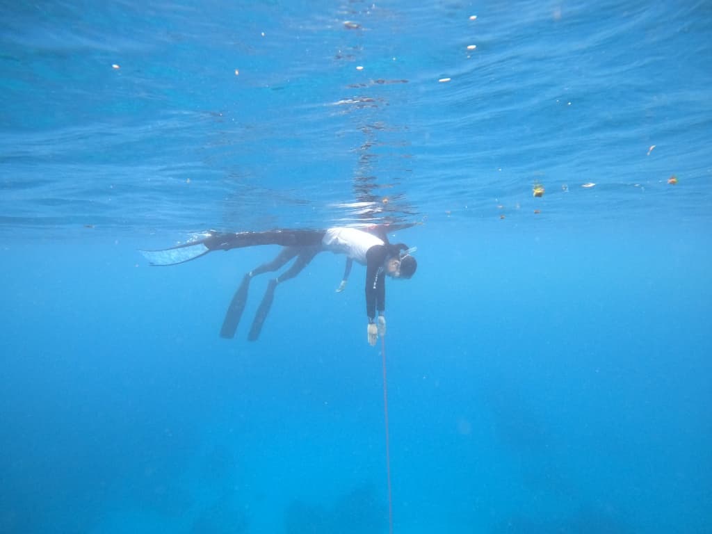 墾丁自由潛水推薦 美人魚學校1