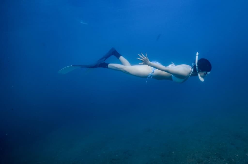墾丁自由潛水推薦 貓魚小姐的海洋生活2