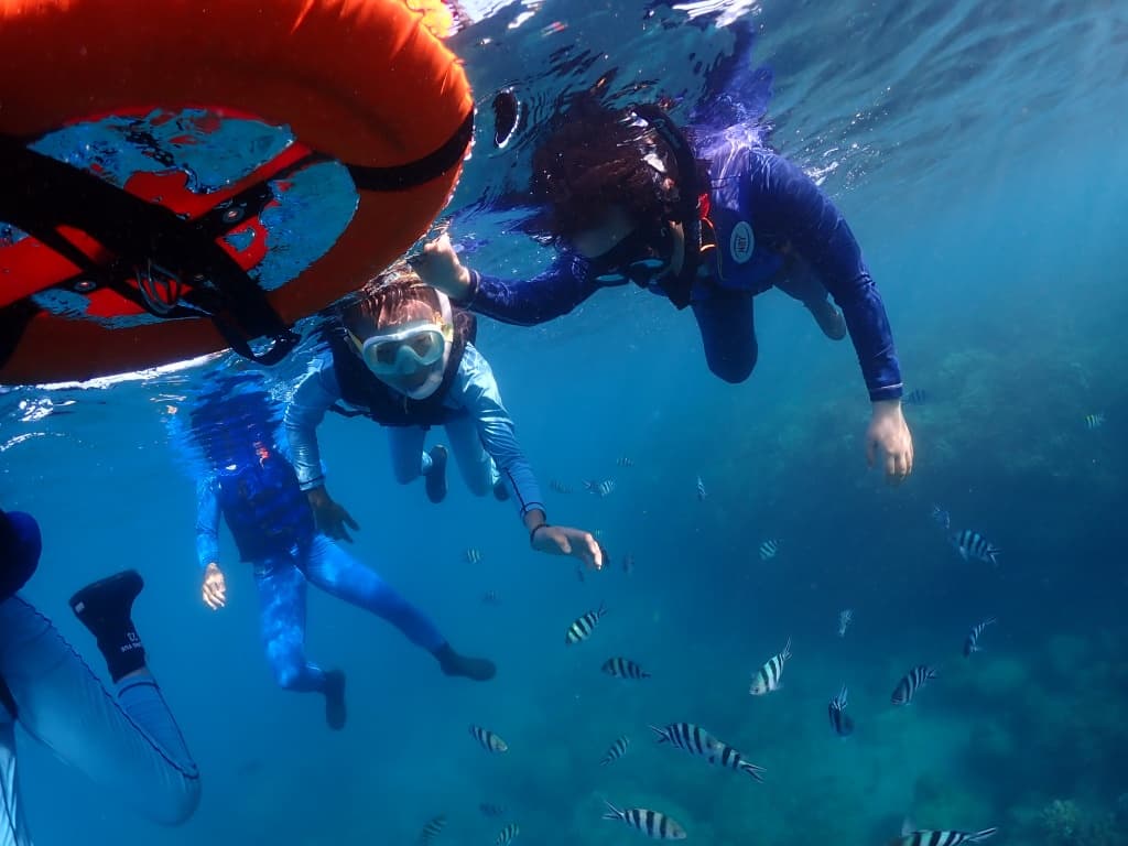 Customizable snorkeling itineraries for families