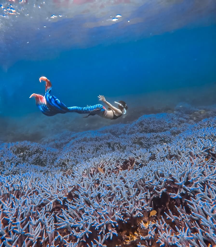 浪嶼潛行