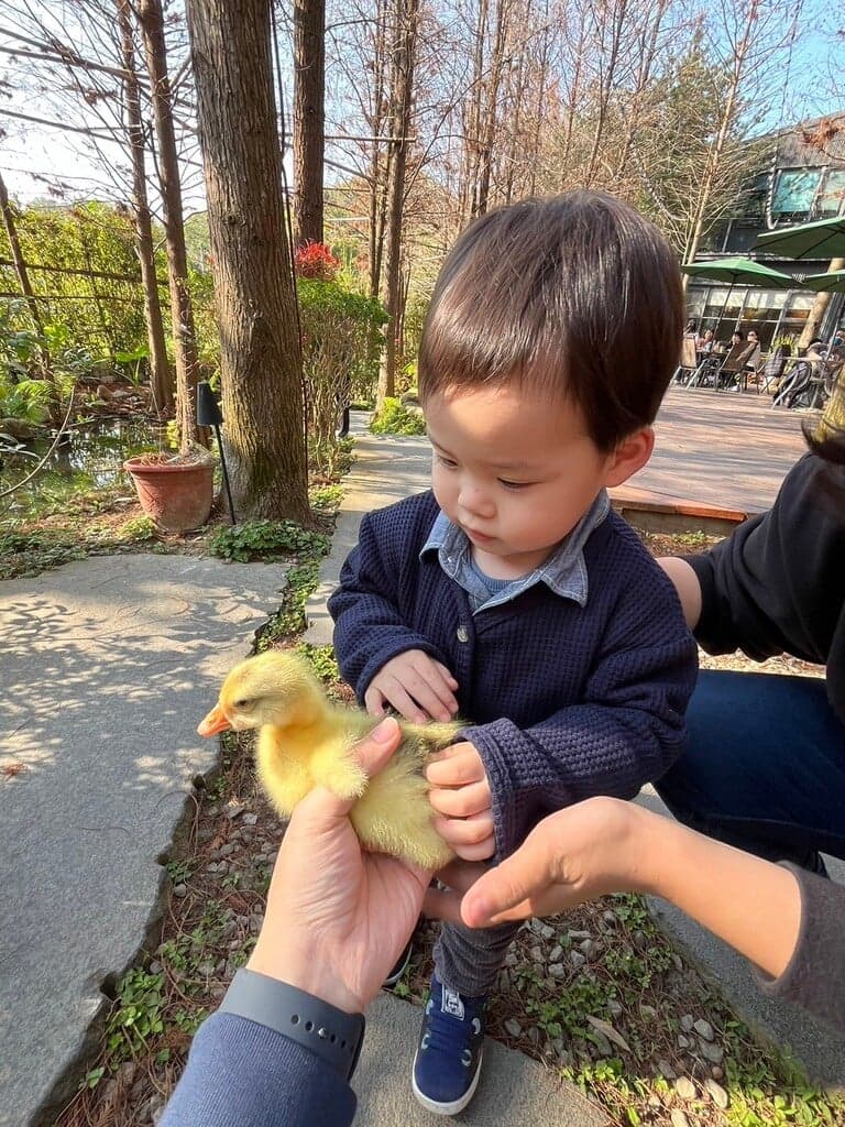 台中親子農場 享自在生態園區 05
