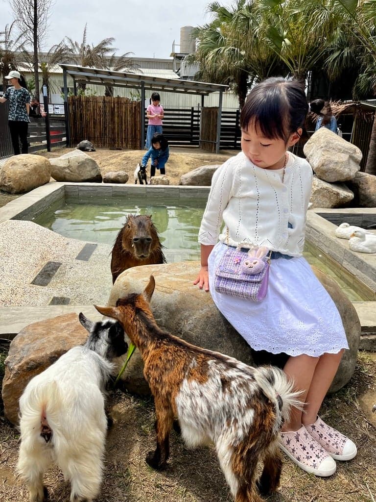 廢物媽媽育兒農場