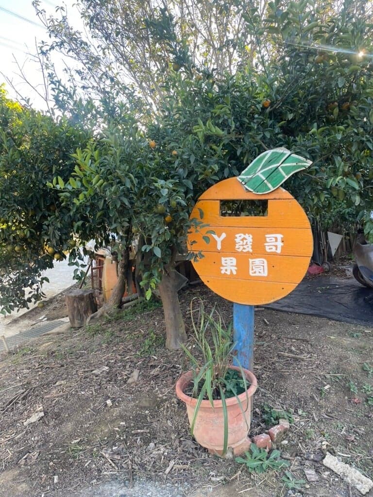 阿發哥果園