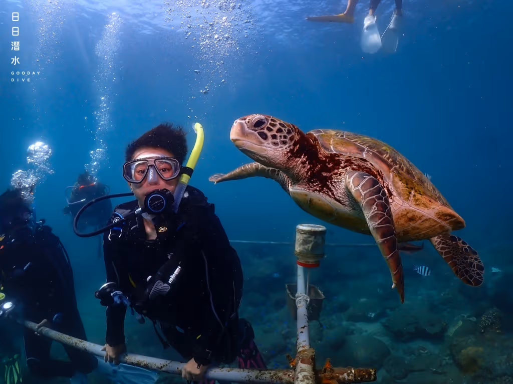 Shanshui Port East: A Beginner's Dive Spot