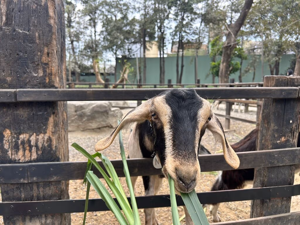 親子農園