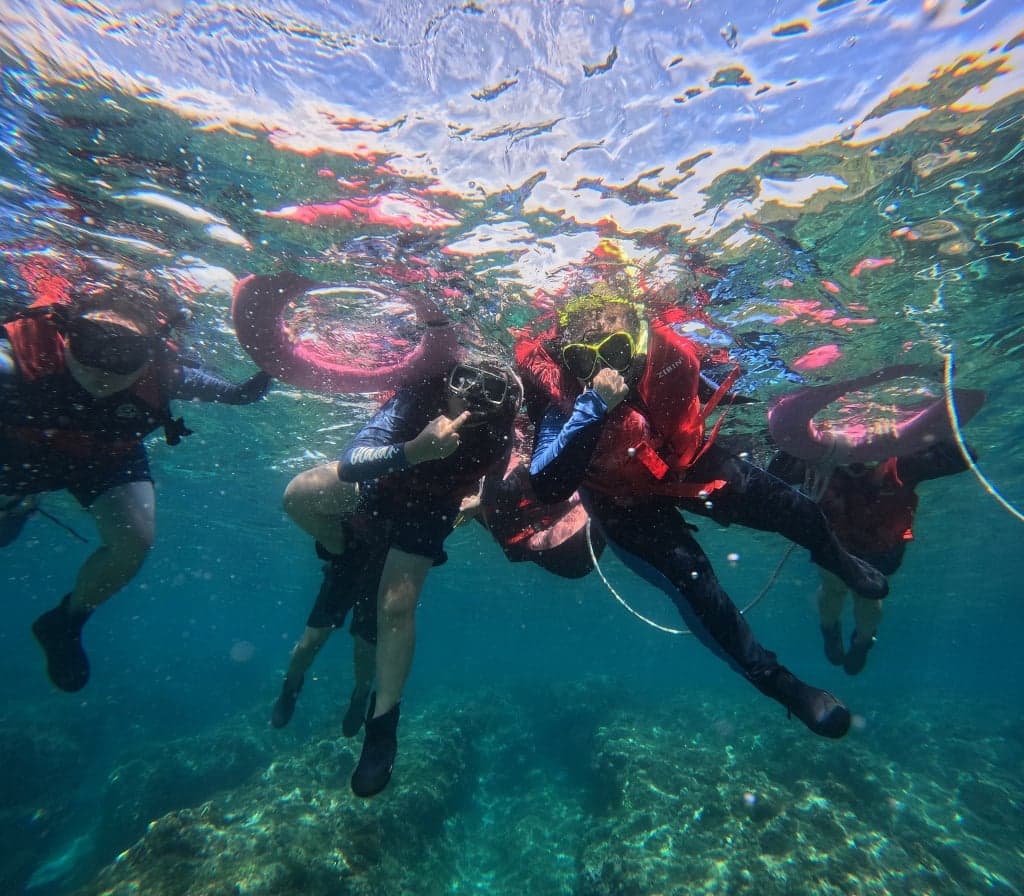 小琉球浮潛推薦-派大星.