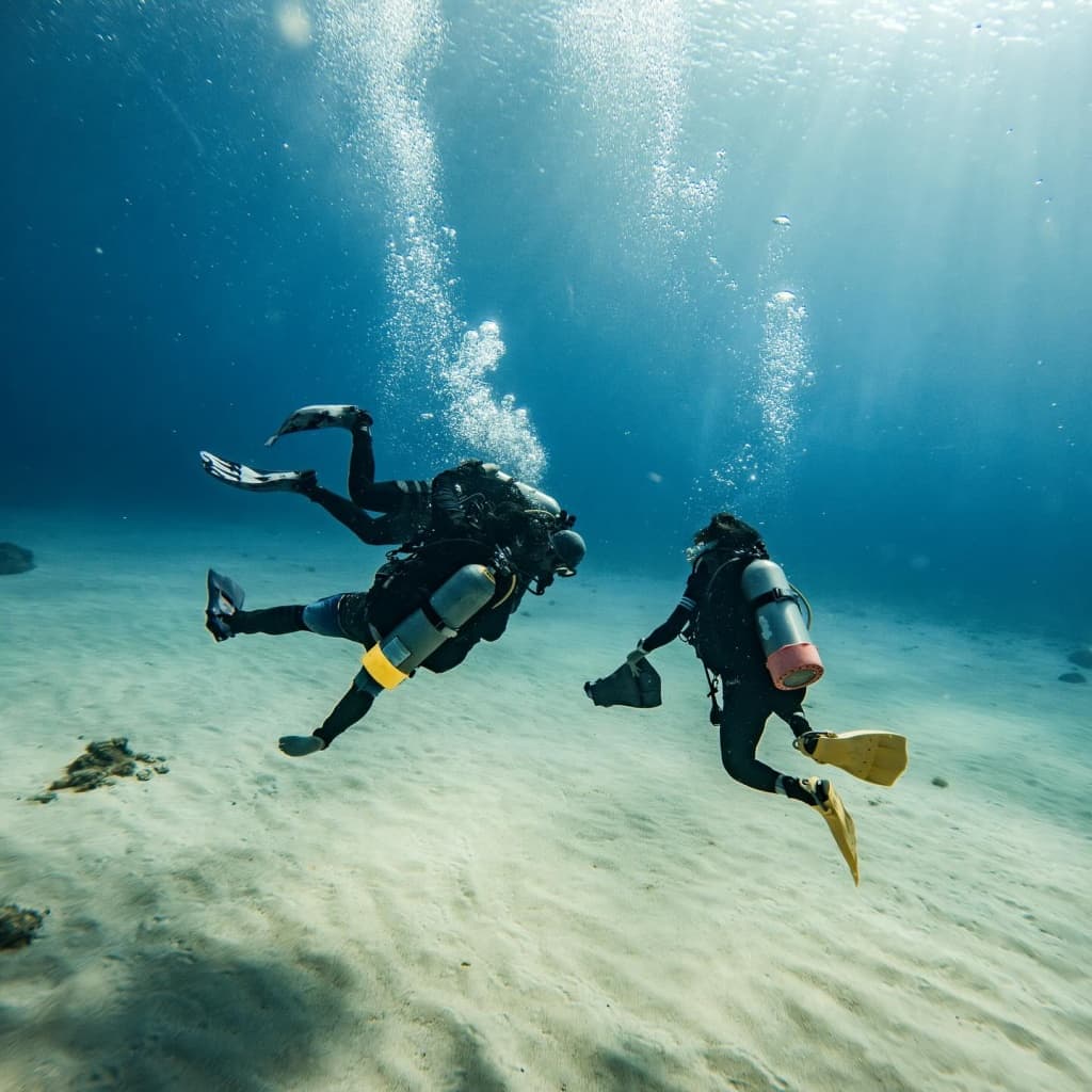 Special diving packages and offers
