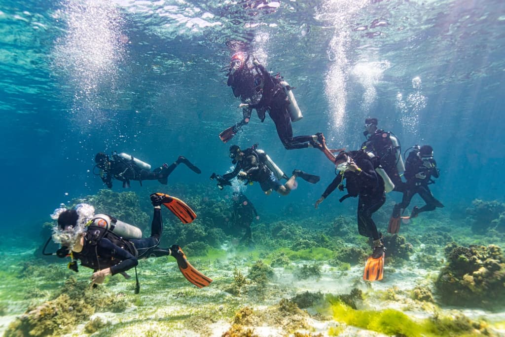 Scuba diving courses for solo learners