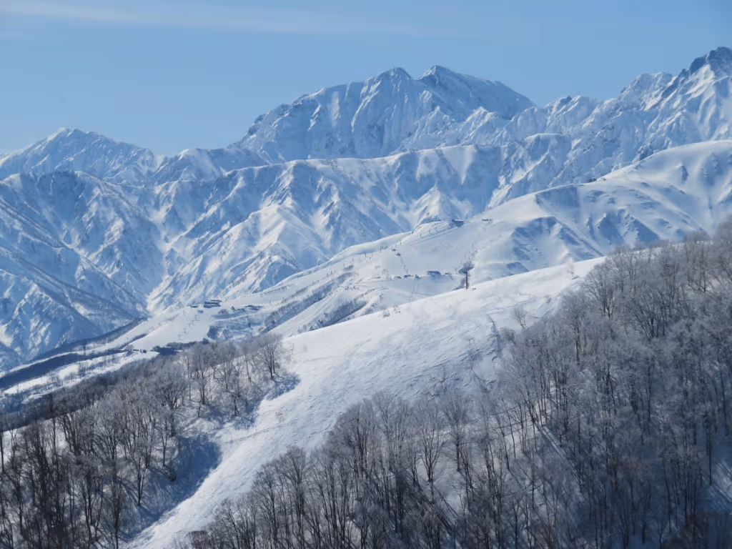 長野縣|白馬八方尾根滑雪場