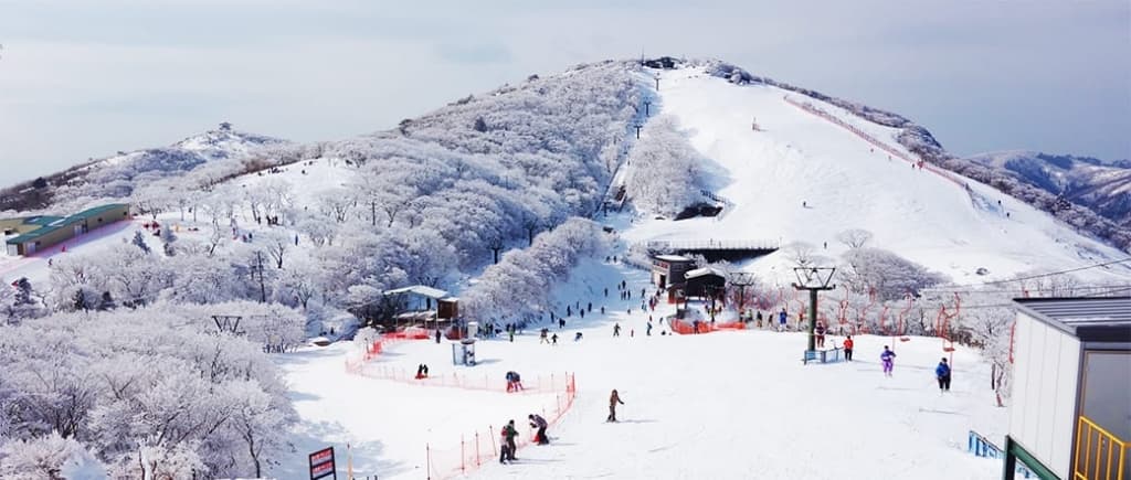 三重縣|御在所滑雪場