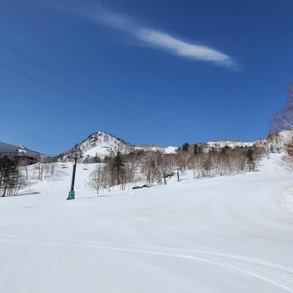 道北|富良野|富良野スキー場