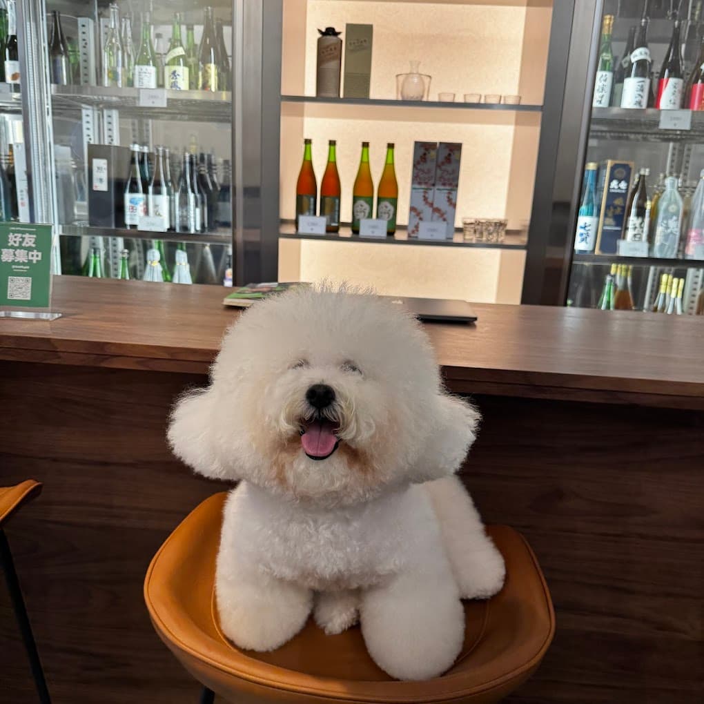 毛孩、外送都歡迎的小酒館