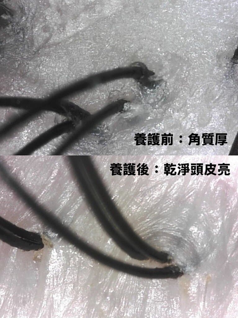 台中科技育髮_花葉頭皮養護_2025-10-21_4