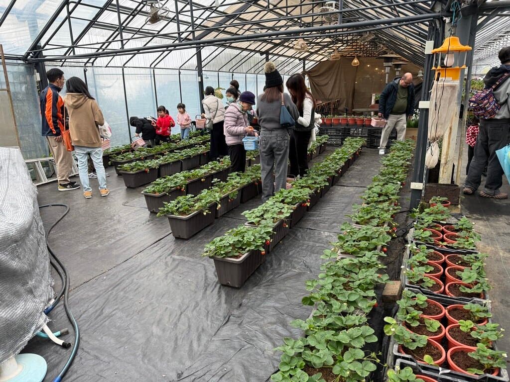 The strawberry farm is on the second floor, with a restaurant on the first.