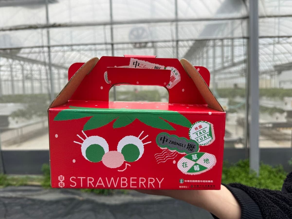 來哥快樂農場評價|桃園海線竟然有草莓園?還能做草莓大福 DIY、摘向日葵