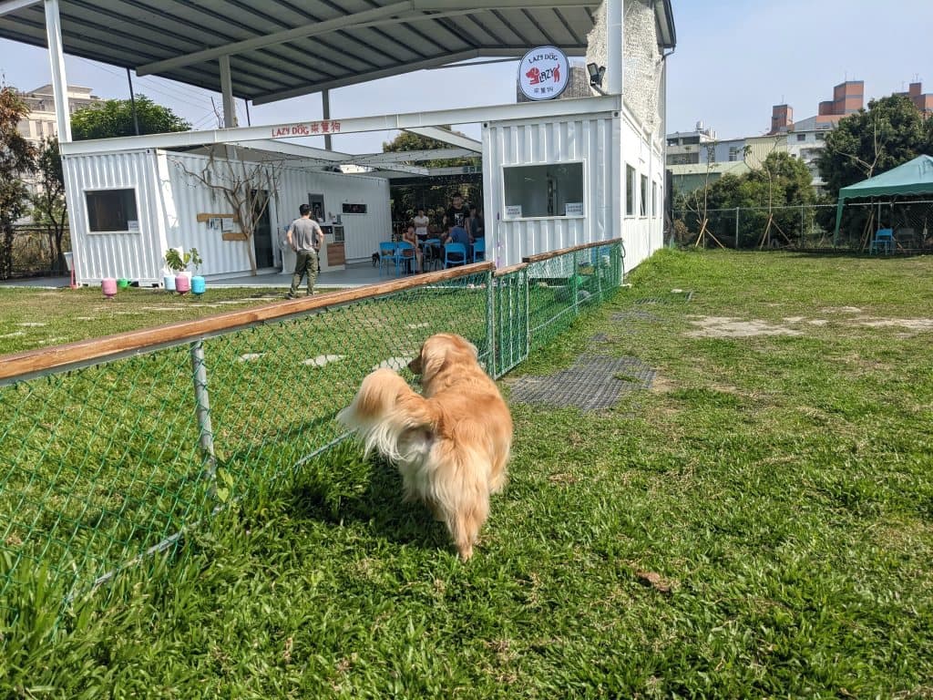 台中寵物樂園推薦 Lazy Dog 來隻狗寵物樂園餐廳