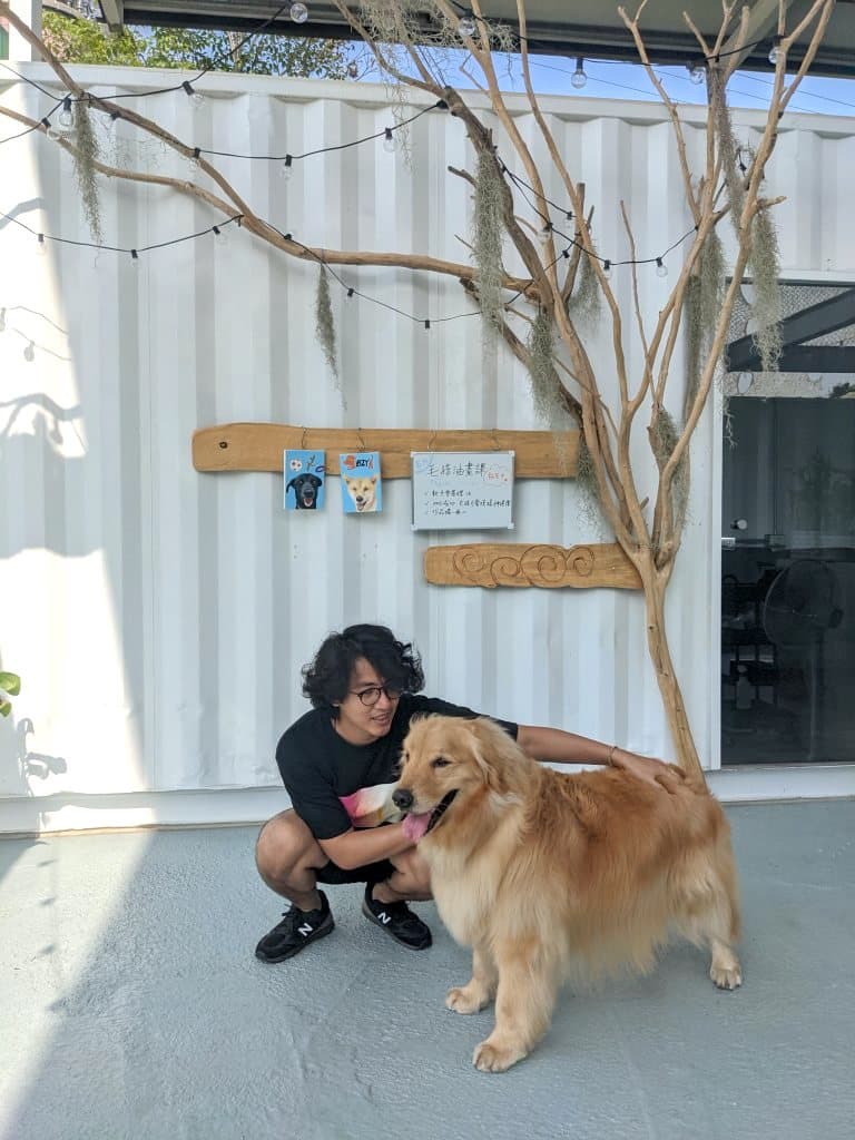 台中寵物樂園推薦 Lazy Dog 來隻狗寵物樂園餐廳2