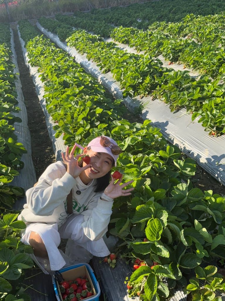 台中採草莓推薦 福德爺草莓園4