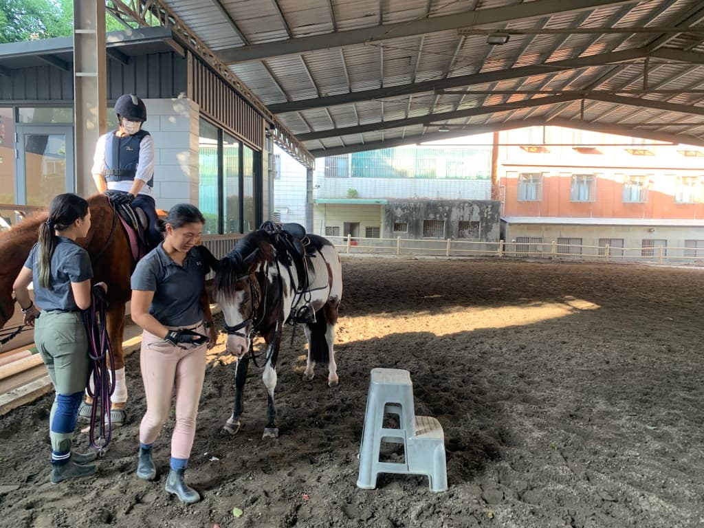 台中騎馬推薦 傳舉紀念馬術中心2