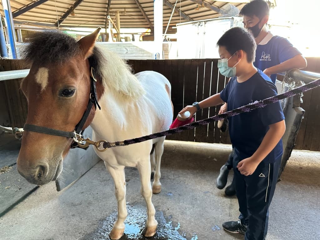 台中騎馬推薦 汗王馬術俱樂部2