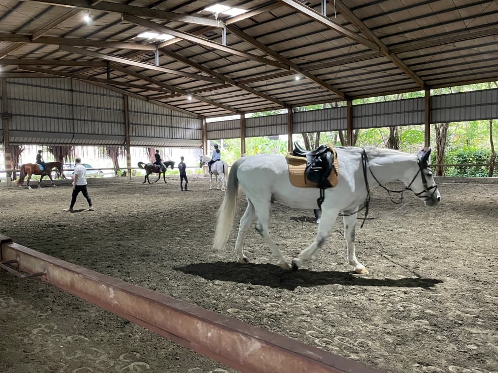 Blue Sky Equestrian Club