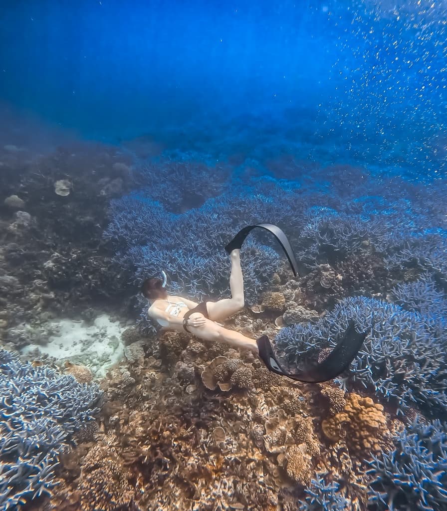 澎湖自由潛水推薦 浪嶼潛行6