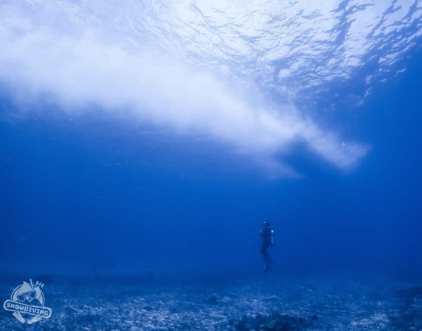 潛點特色:軟珊瑚、金花鱸魚、可放流潛水、海龜多
地點:琉球北邊白沙港附近
潛點座標:22°21’20.9″N 120°22’51.3″E
適合潛水類型:浮潛、水