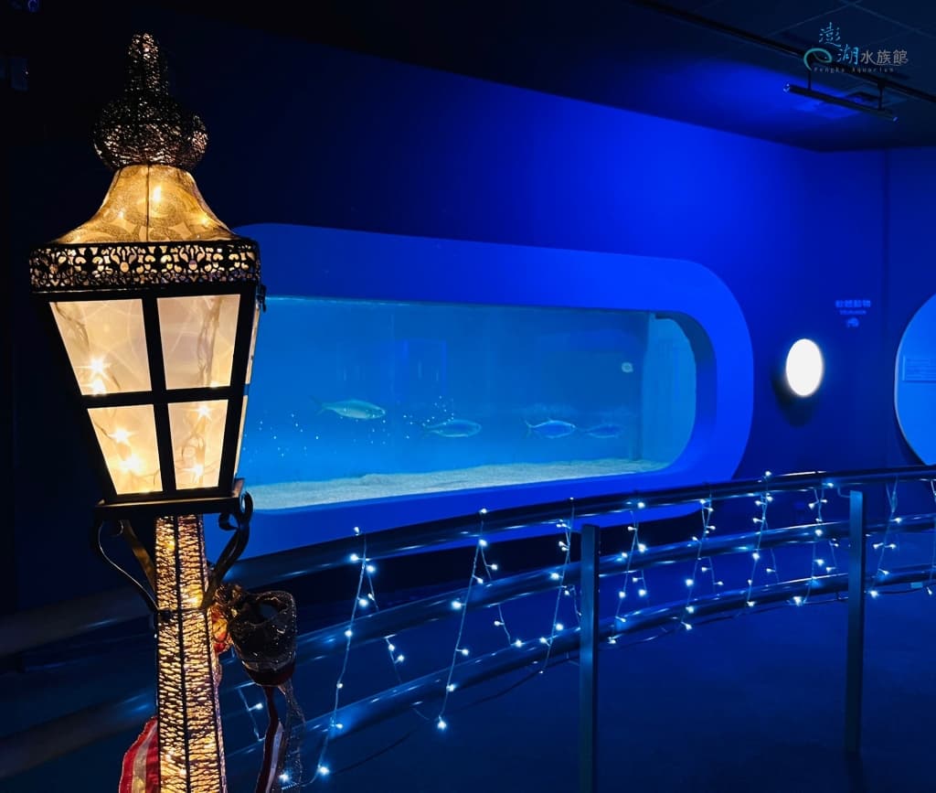 #小而美水族館超適合親子互動首選
澎湖水族館雖然規模不大，卻以「小而美」的特色深受親子旅客喜愛。彷彿是屏東海生館的縮小版，卻有著同樣豐富的海洋生物展示，尤其館內