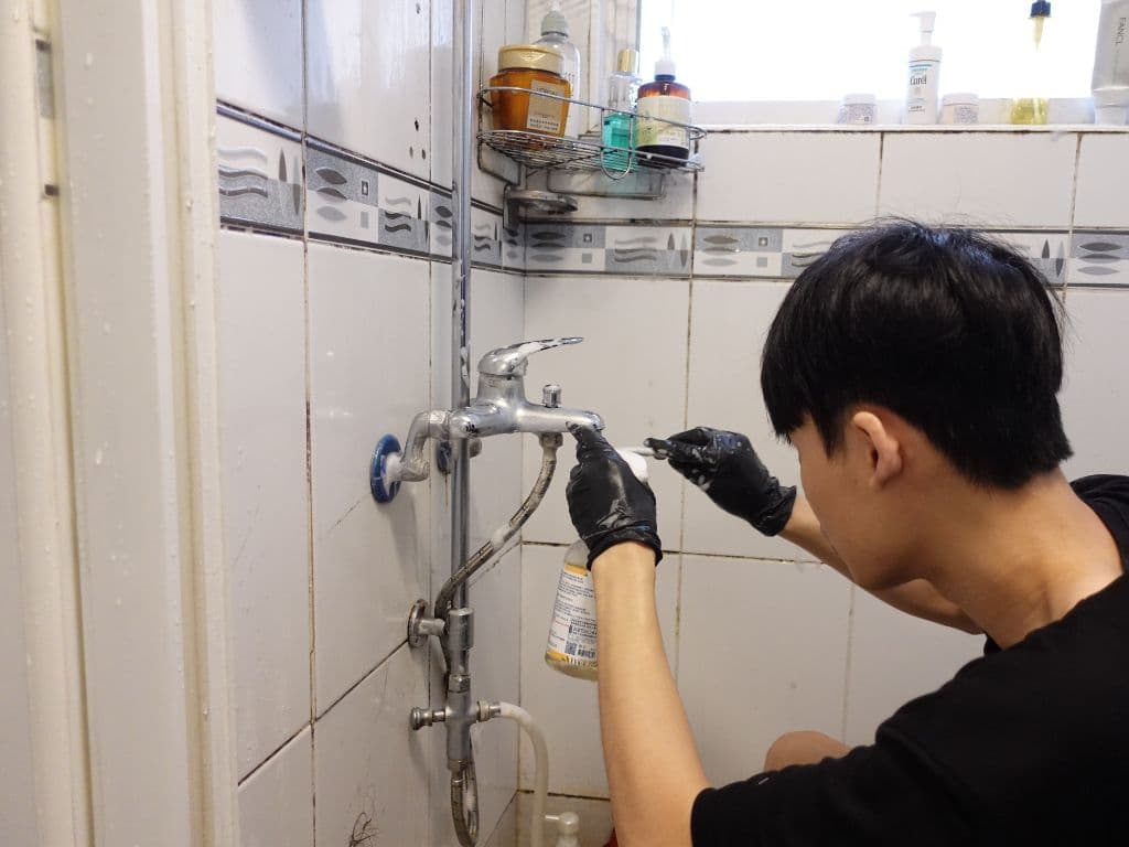 使用環境友善無毒清潔劑