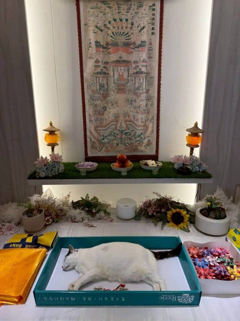 台中寵物殯葬_翡翠森林寵物天堂: 寵物安樂園推薦,寵物殯葬服務_2026-03-06_9