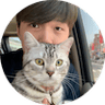 作者頭像