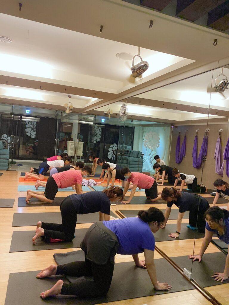 台中瑜伽推薦 豐原瑜珈樹 Yogatree2