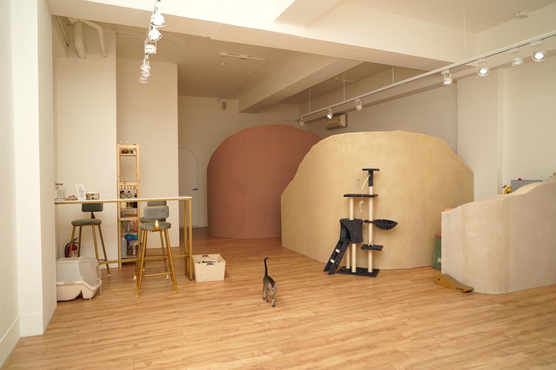 Venue Environment