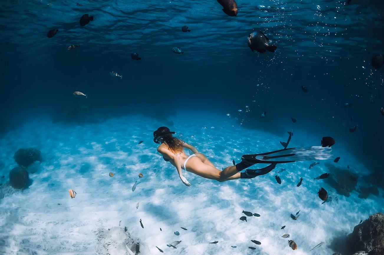 Heyhey Dive 評價|AIDA 專門台北自由潛水,跟著教練一起探索水下世界