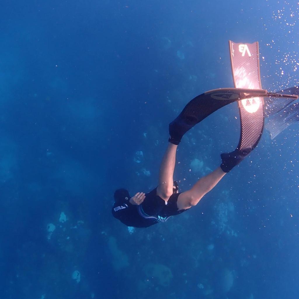 ๆตทๅฌๆฝๆฐดๅบ ็
ง็ 1