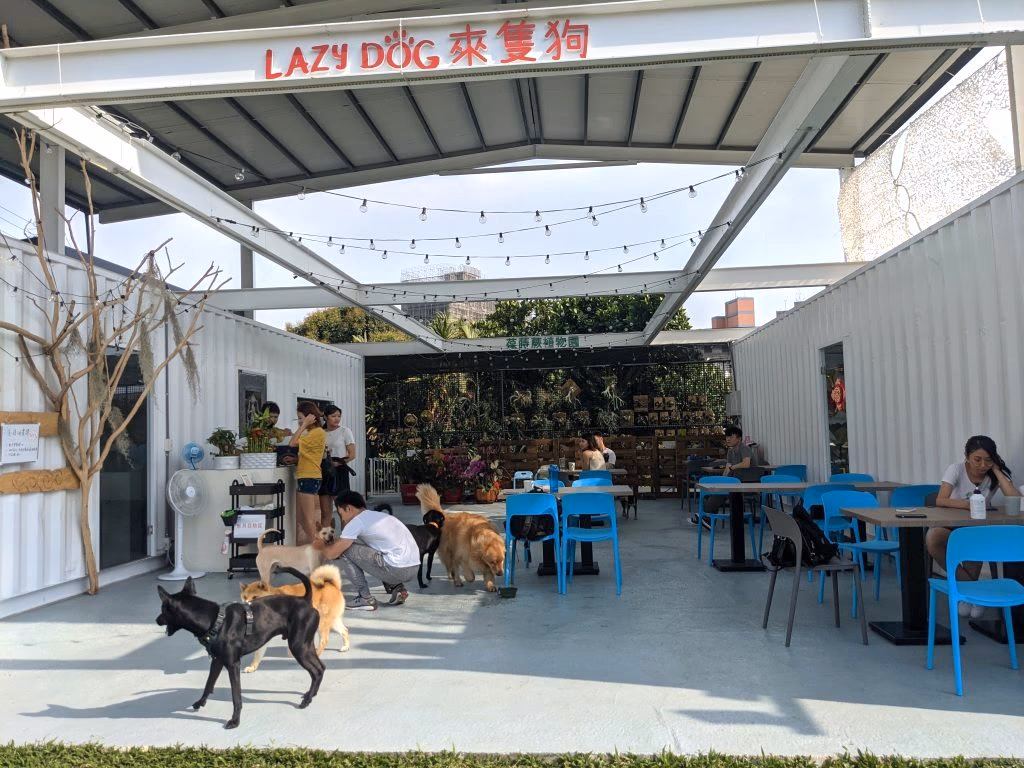 ๅฐไธญๅฏต็ฉๆจๅๆจ่ฆ Lazy Dog ไพ้ป็ๅฏต็ฉๆจๅ้คๅปณ4