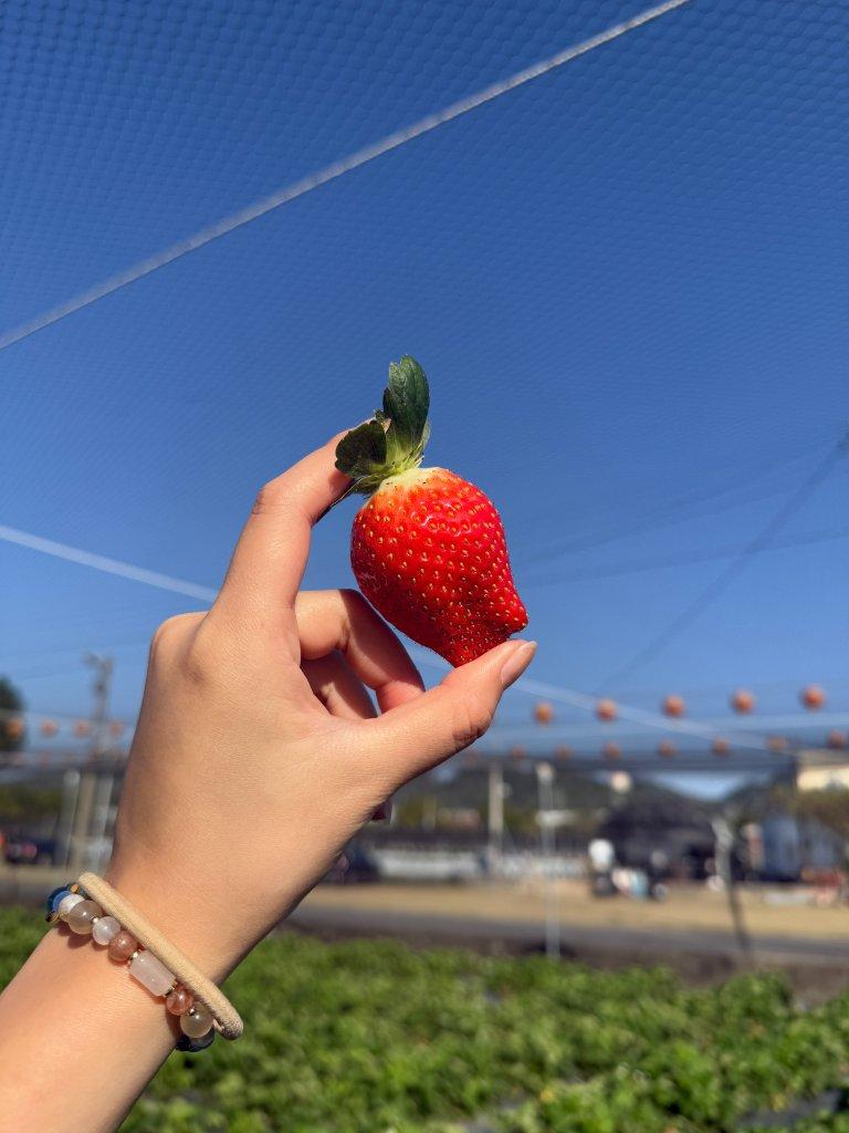 福德爺草莓園