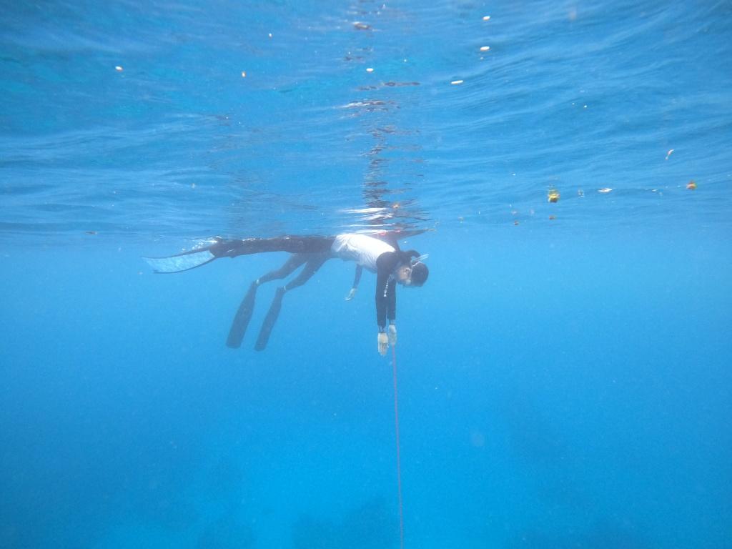 墾丁自由潛水推薦 美人魚學校1