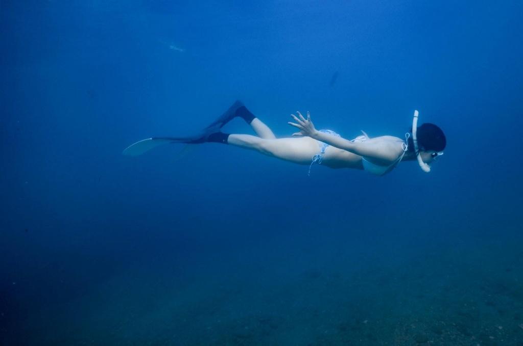 墾丁自由潛水推薦 貓魚小姐的海洋生活2