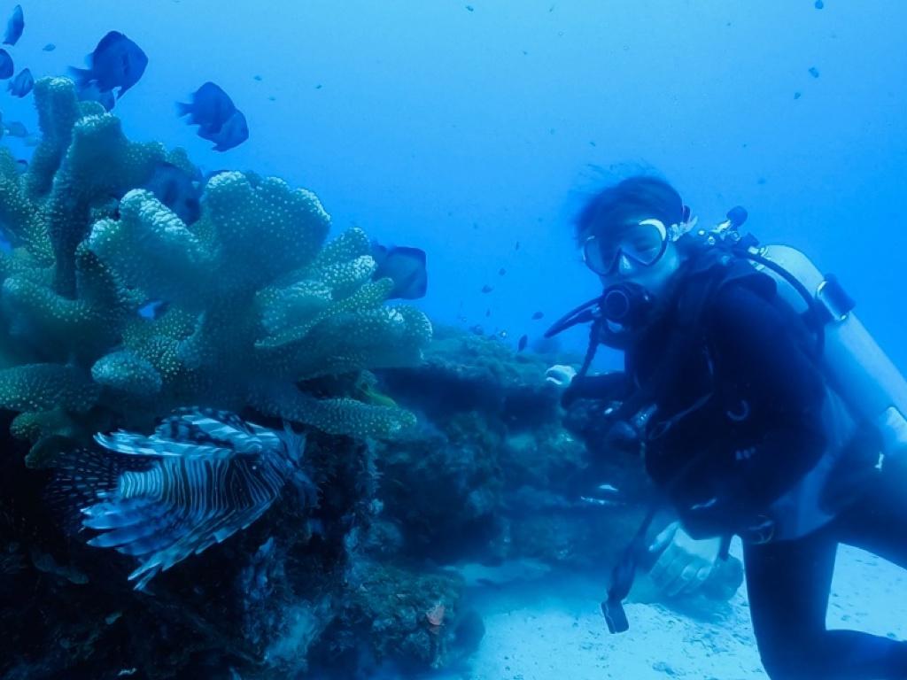 Explore marine life with a writing slate