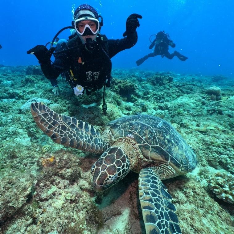 Your instructor will help you capture stunning underwater photos.