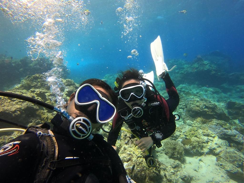 ็ถ ๅณถๆฝๆฐดๆจ่ฆ ๆตทๅญใปOcean Rover3