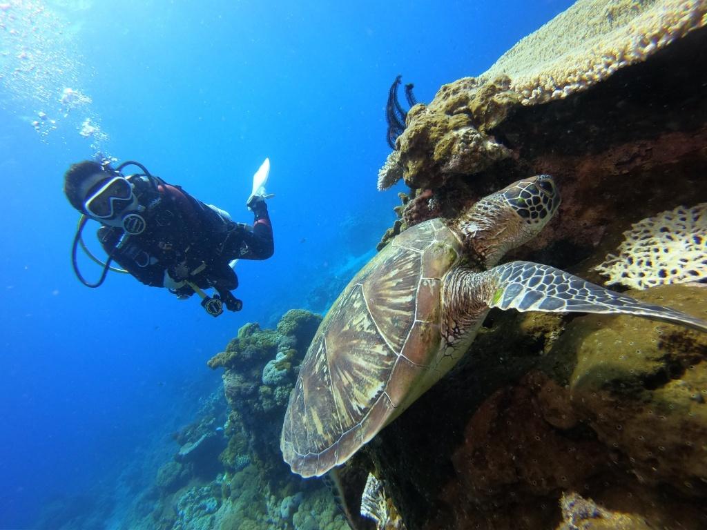 海子・Ocean Rover