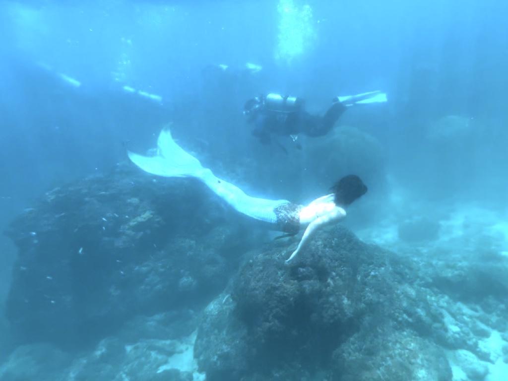 進階人魚課程:海洋訓練