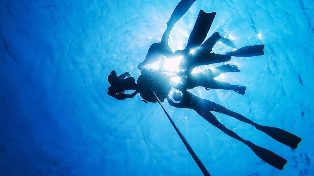 小琉球自由潛水推薦 VD Freediving