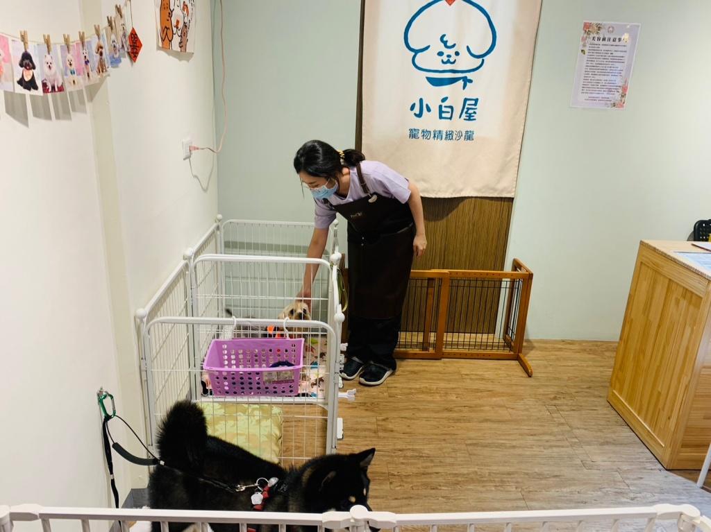 高雄寵物美容推薦 小白屋寵物精緻沙龍2