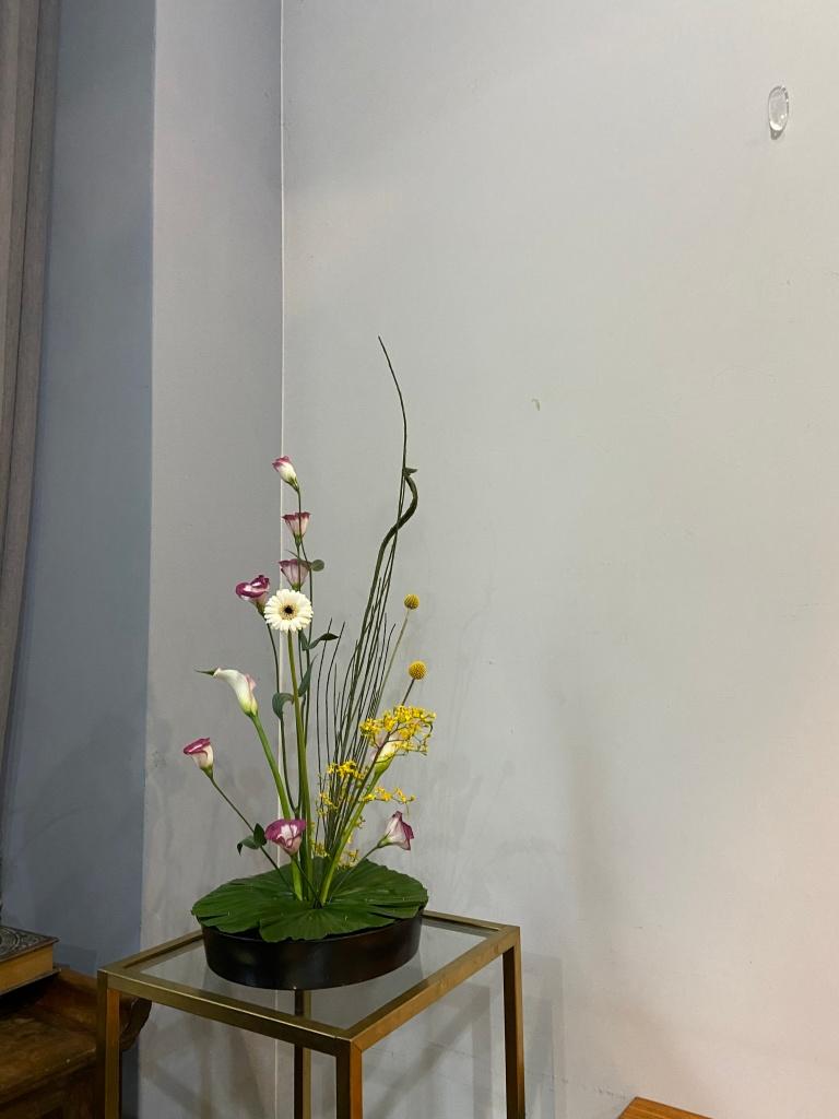 想想拾花 照片